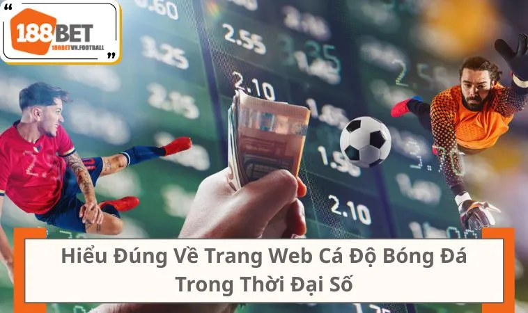 Hiểu Đúng Về Trang Web Cá Độ Bóng Đá Trong Thời Đại Số
